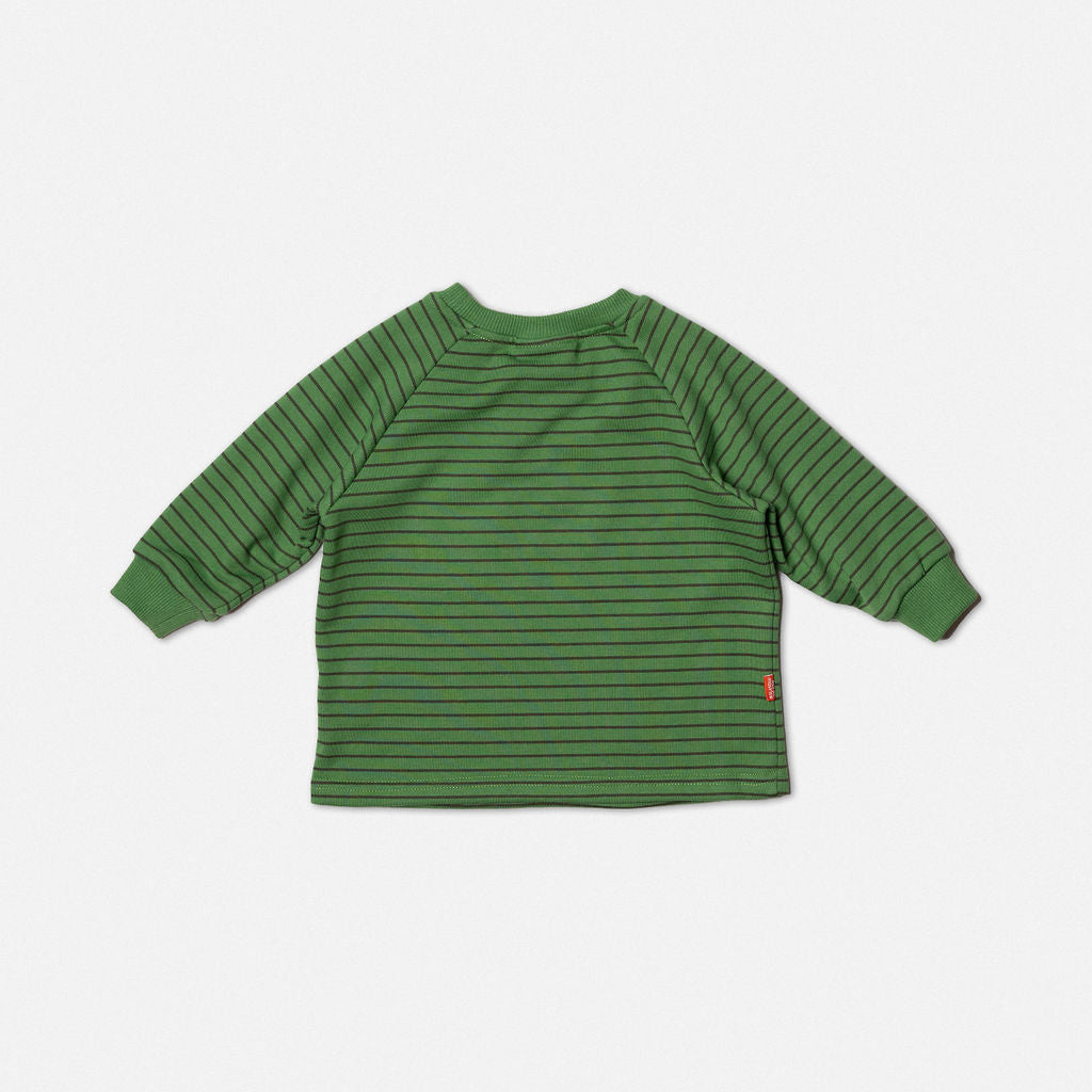 Das Ist Maurice Long Sleeve T-Shirt Striped Green